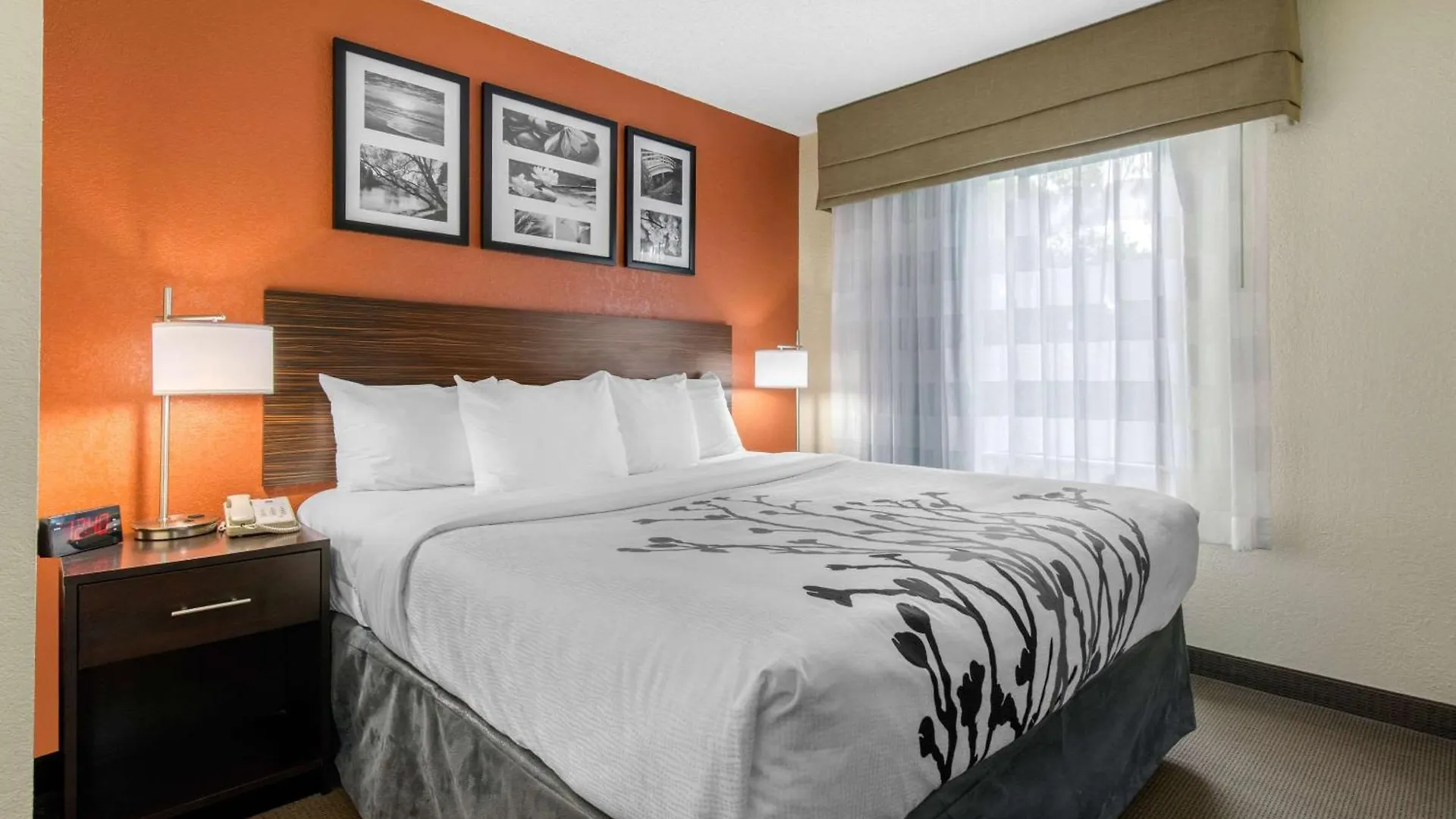 Sleep Inn Sarasota North