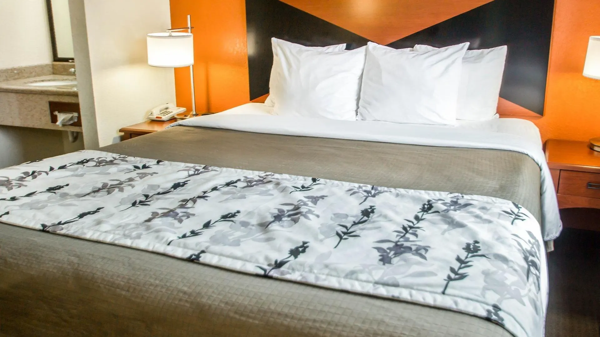 Sleep Inn Sarasota North
