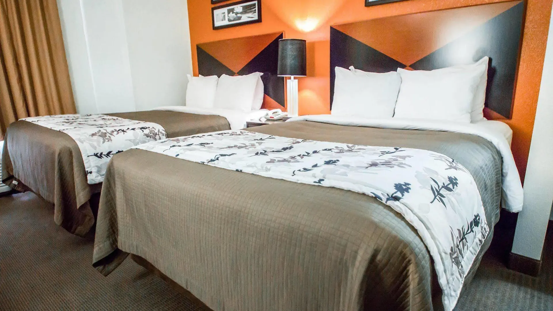 Sleep Inn Sarasota North